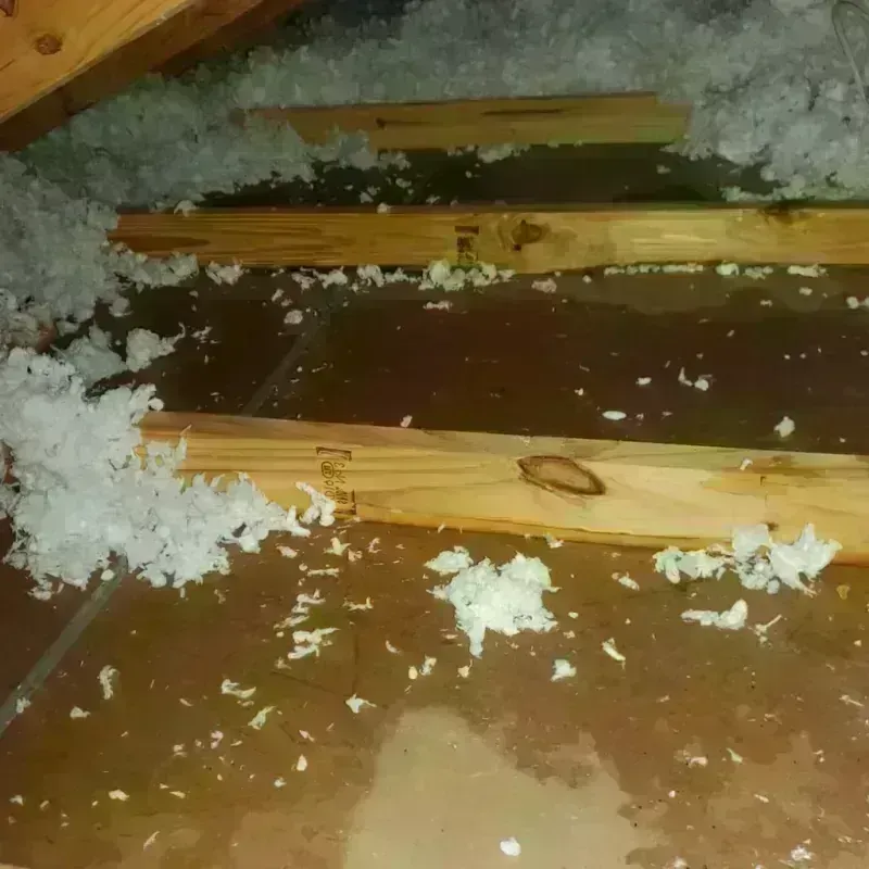 Attic Water Damage in Central, SC